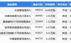 20只基金今日涨超2%，重仓方向包括医药、游戏传媒