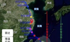 防台风可不只是“家里蹲” 这份安全防护攻略请收好