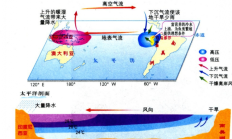 厄尔尼诺将达“超强”级别 该如何应对极端天气？