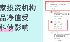 踩雷万科债，多只产品净值跳水？合晟资产回应：确有持仓