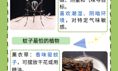 唠“科”话丨为啥蚊子总叮你？“招蚊”跟血型相关？