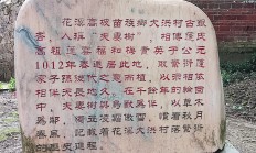 “赛考斯”在中国种下的“两棵树”