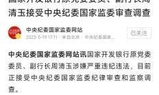 国家开发银行原党委委员、副行长王用生被提起公诉