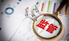多家公司同日被立案彰显监管“零容忍”