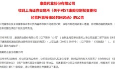 ST九芝新董事长花落黑龙江国资 公司控制权变更与否引热议