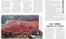 四川出台举措 助力资本市场高质量发展