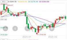 大智慧2024年预亏1.9亿元 第二大股东上个月发布公告拟“清仓式”减持