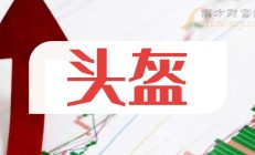 金发科技毛利率“一降再降”：两家石化子公司亏损超8亿元 货币资金无法覆盖短期借款