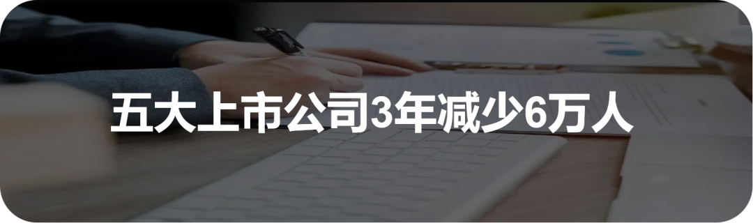 中国人寿财险公司理赔服务部总经理助理张智敏： 重塑理赔定位 提供“有温度”的保险服务