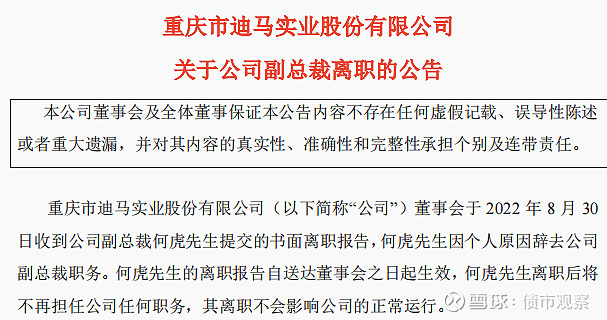 大为股份上市以来首亏 货币资金仅剩2.7亿元锂电项目后续如何建设受关注