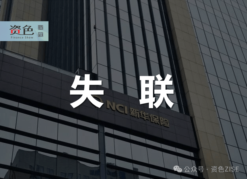 新华保险董事长杨玉成定调：从做长做宽做深三方发力 改善投资业绩