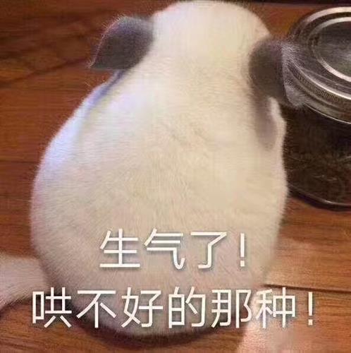 公告现多处文字错误 西藏珠峰被监管警示