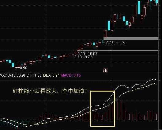 大盘退守3000点，煤炭、黄金逆势飘红