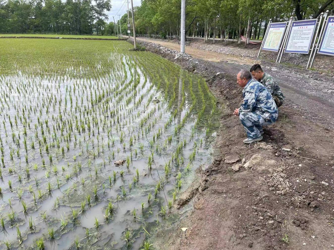 完善中国特色现代企业制度 上市公司需当好“先锋队”