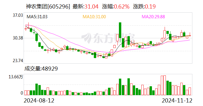 神农集团前6个月销售生猪收入19.41亿元