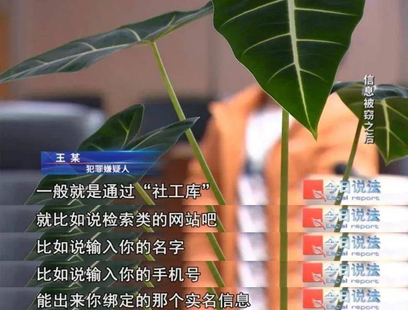 监管常态化严打非法荐股 网红“大V”不可轻信