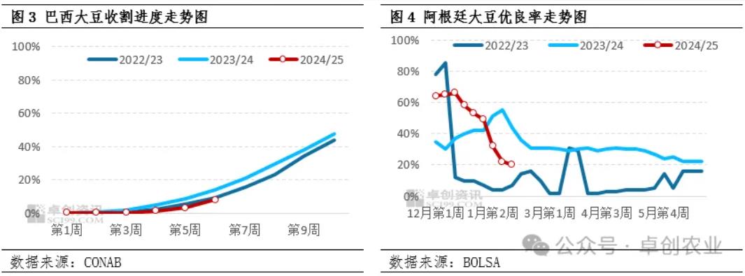 大商所计划推出豆粕和玉米系列期权