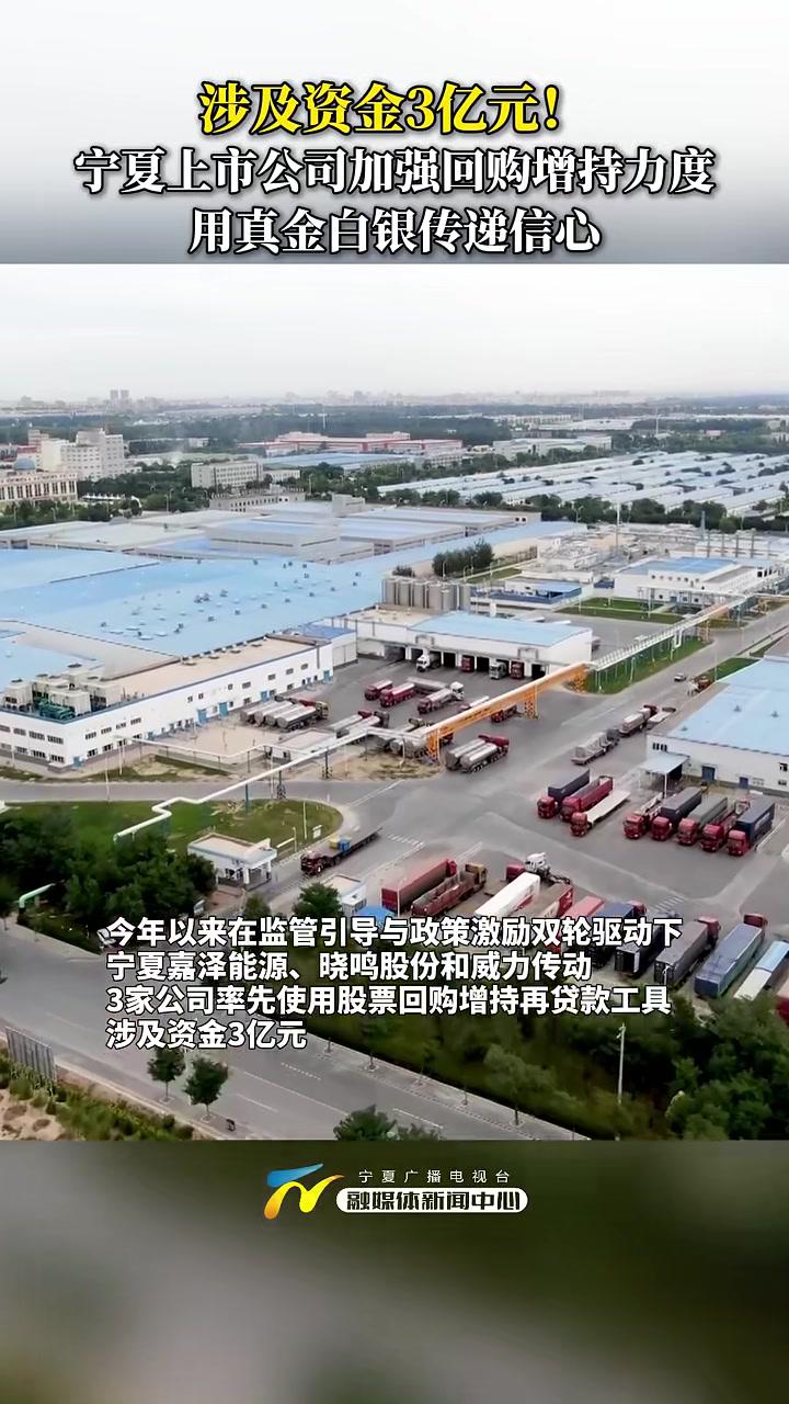 龙头领衔回购增持 深市公司真金白银提振投资者信心