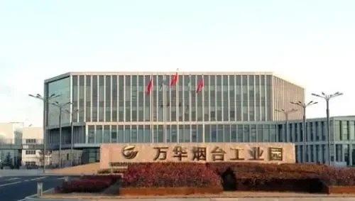 一季报和年报综合研究更有意义