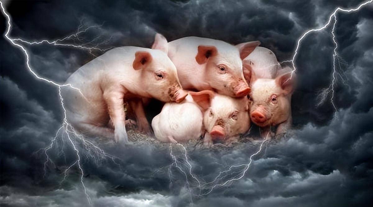 昊帆生物溢价收购亏损公司扩产能