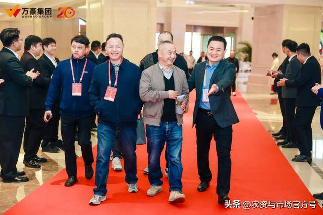 柔性直流技术擘画能源强国新蓝图:赛晶科技净利润率与净资产收益率双双攀升