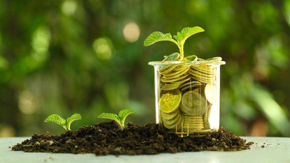 多路资金协力巩固资本市场向好生态