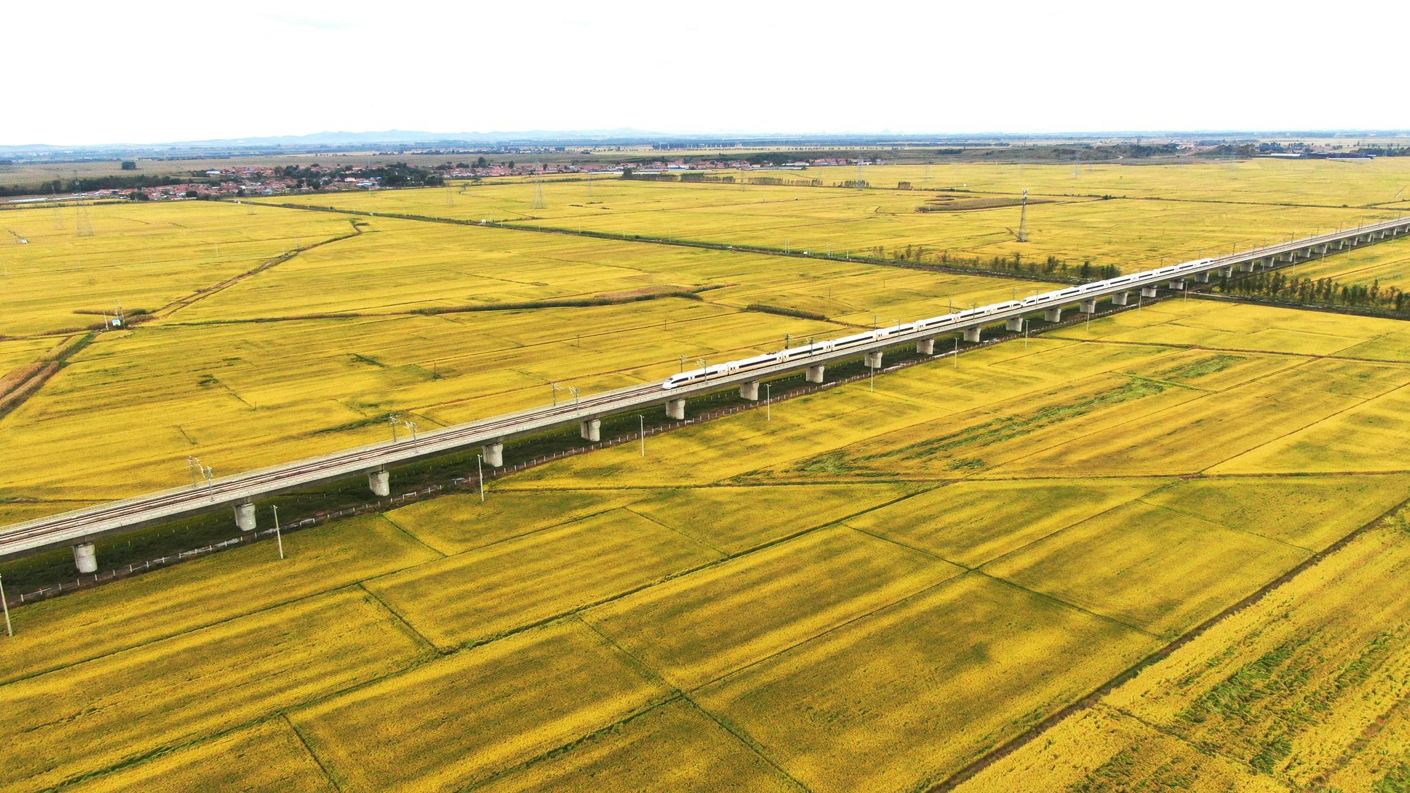 高铁飞驰织密网 产业链公司驶入业绩收获期