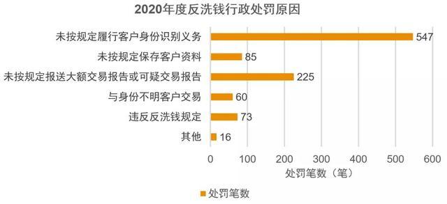 三大新态势凸显监管加码打击财务造假