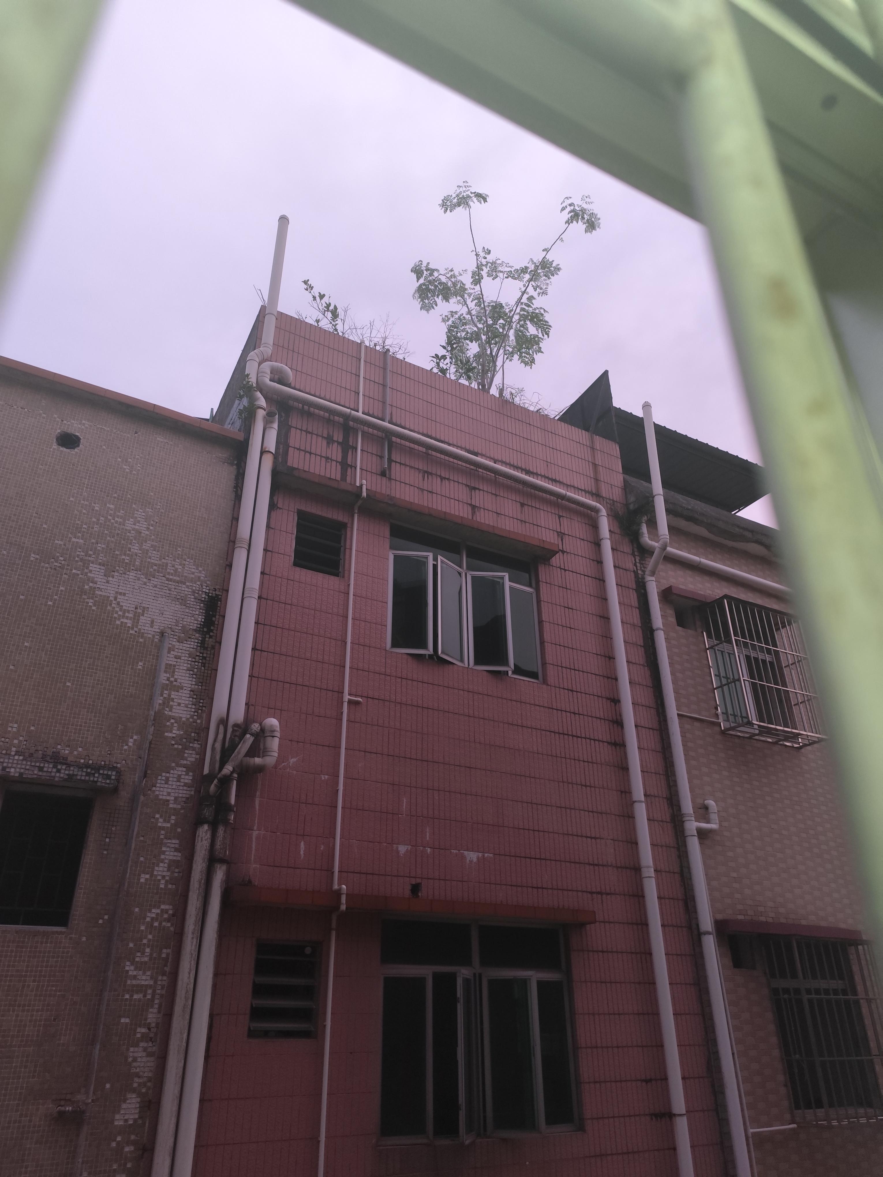 直面“桦加沙” 粤琼上市公司提前布防稳生产