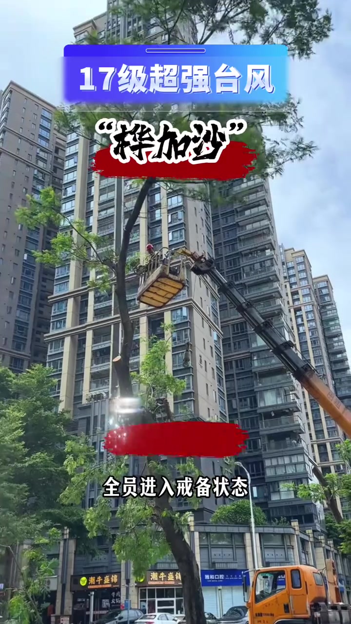 直面“桦加沙” 粤琼上市公司提前布防稳生产