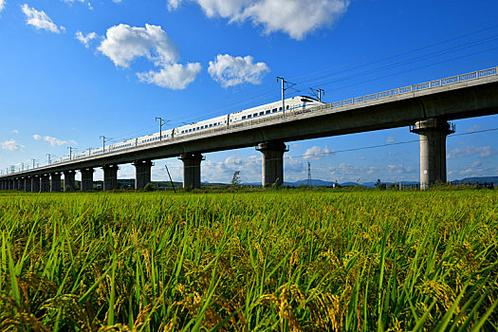 中国重要粮食产区三江平原粮运专线焕新 助力北粮南运