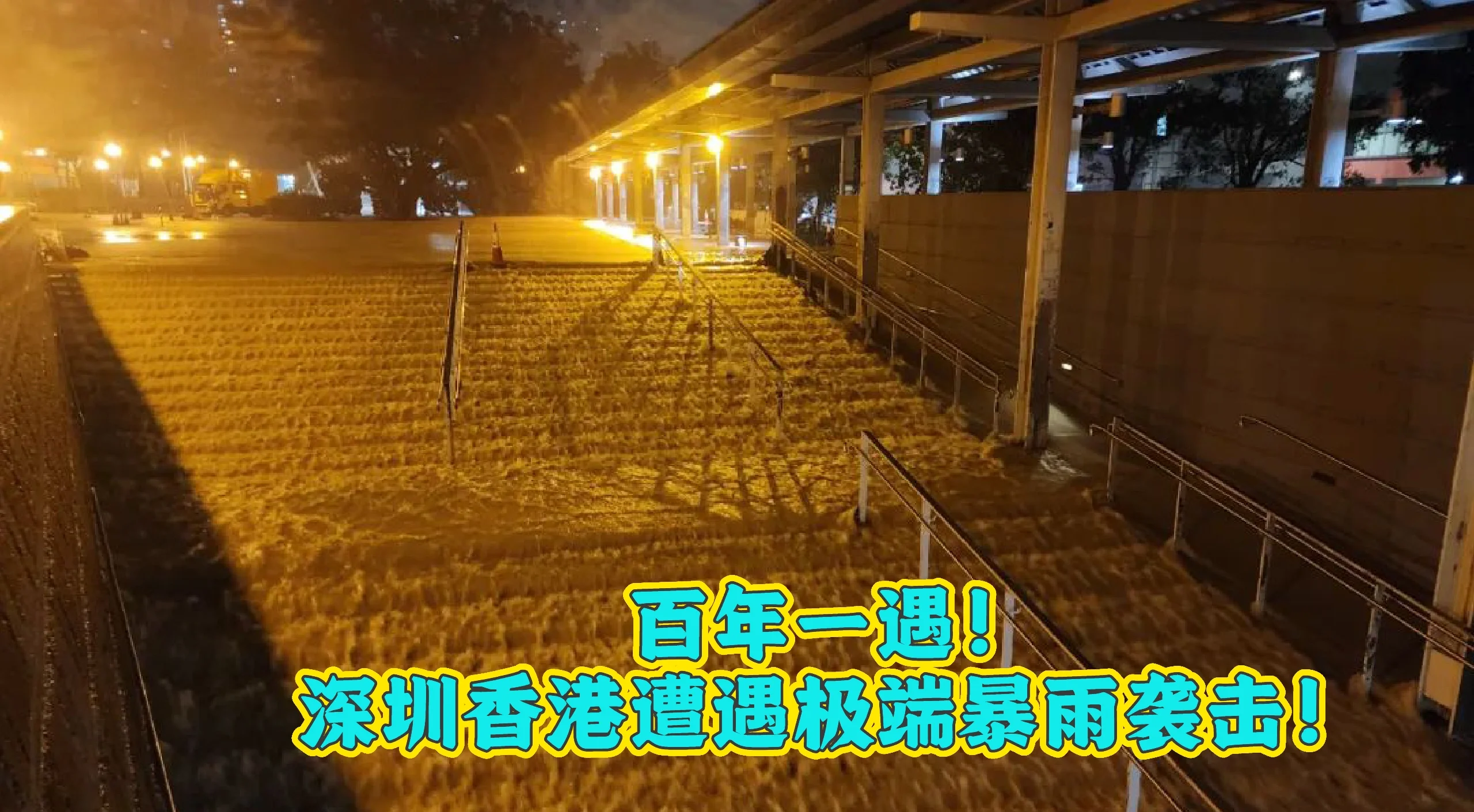 台风橙色预警！“沙德尔”向浙闽沿海靠近 “紫檀”减弱为热带低压